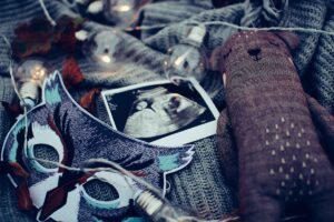 ultrasound photo surrounded by string lights.